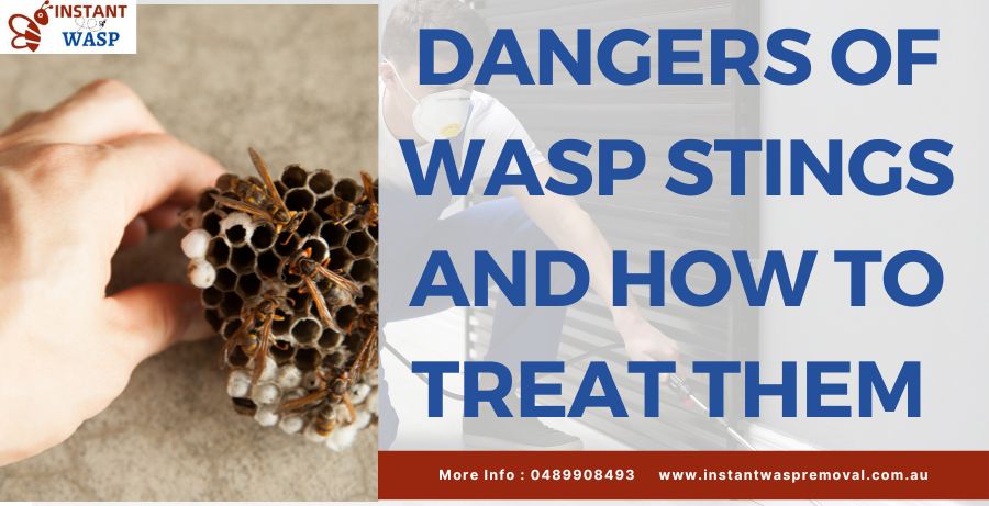 Dangers of Wasp Stings