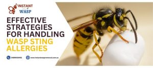 Effective Strategies for Handling Wasp Sting Allergies