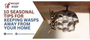 10 Seasonal Tips for Keeping Wasps Away from Your Home