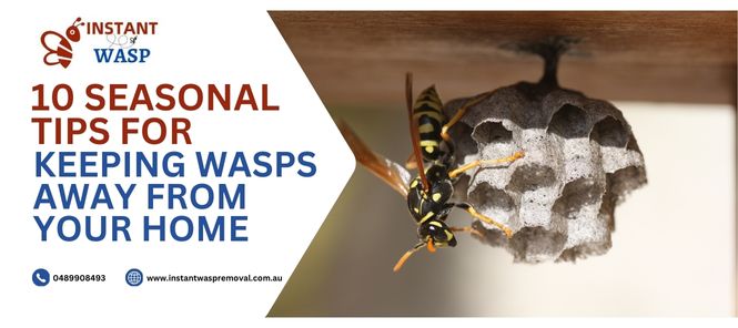 Tips for Keeping Wasps Away from Your Home