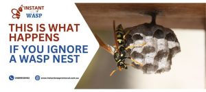 Do Not Wait for the Sting: Why Immediate Wasp Nest Removal is Essential?