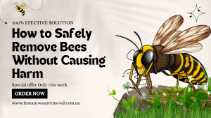 How to Safely Remove Bees Without Causing Harm