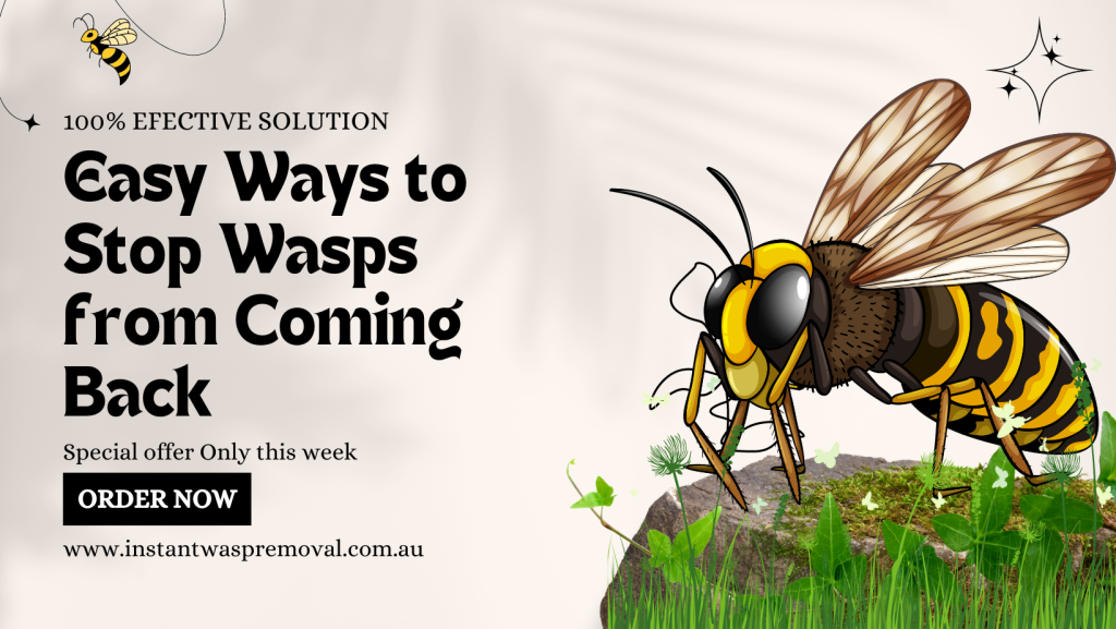 How to Stop Wasps from Coming Back