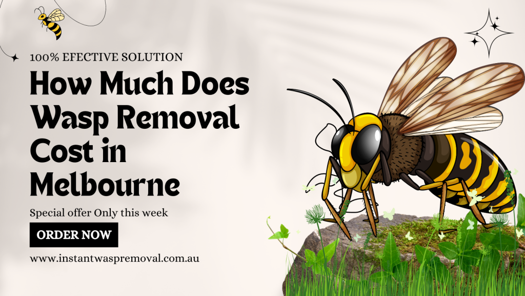 Wasp Removal Cost in Melbourne