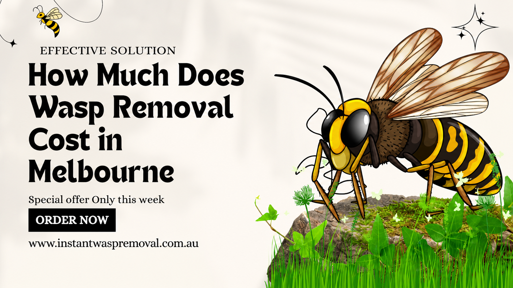 wasp control Melbourne