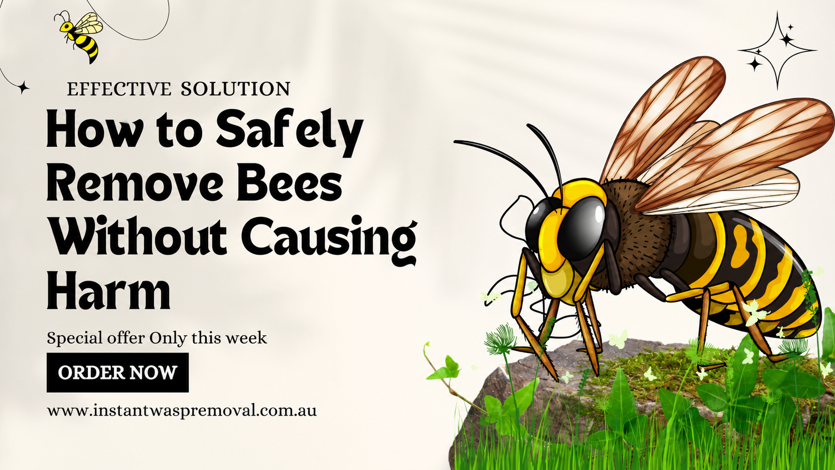 wasp control Melbourne