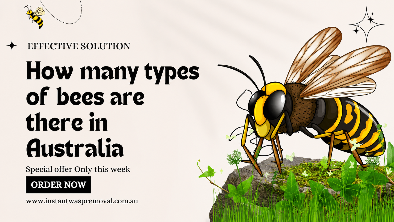 wasp control Melbourne