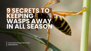9 Secrets to Keeping Wasps Away in All Seasons