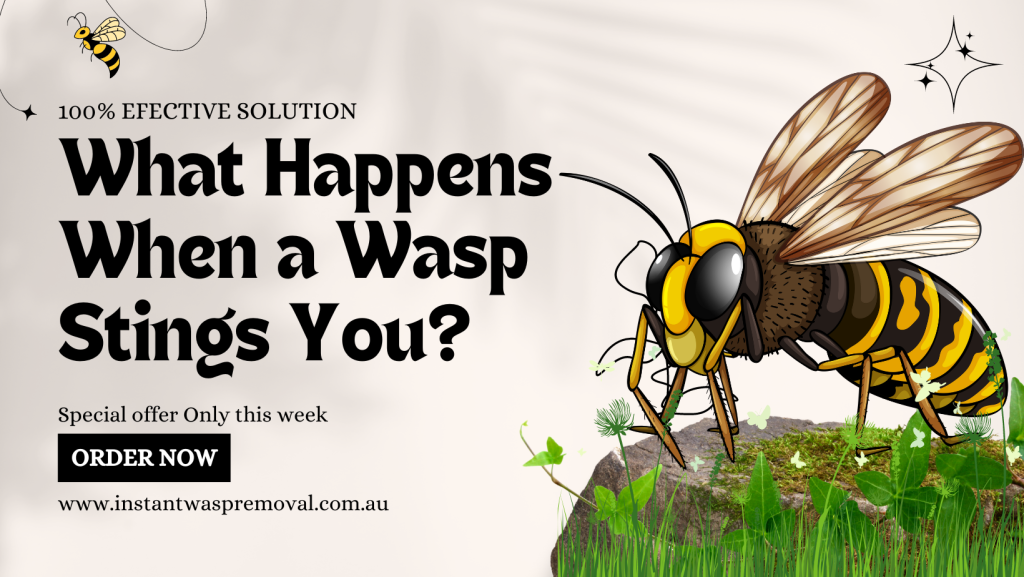 What Happens When a Wasp Stings You