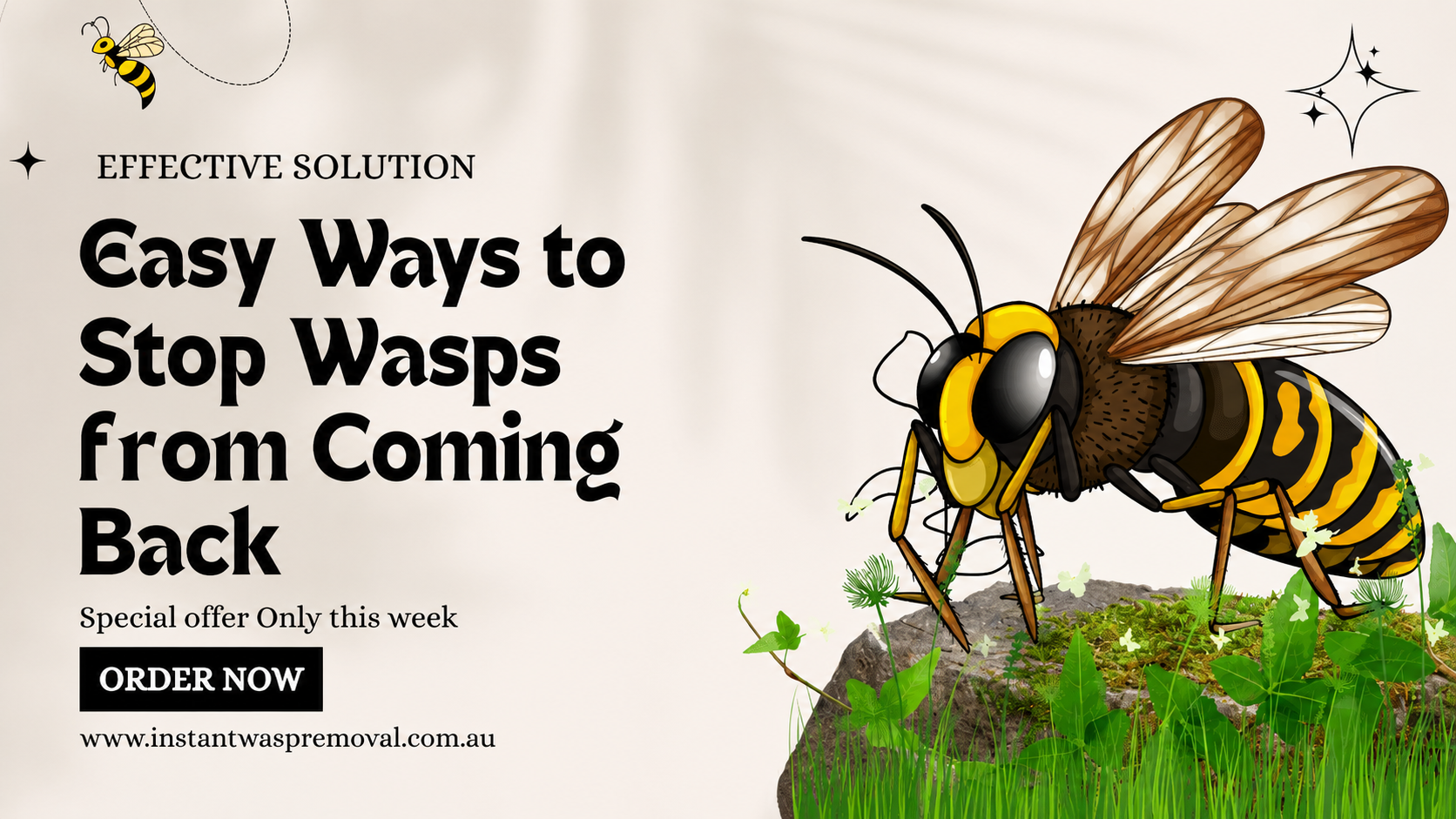 wasp control Melbourne