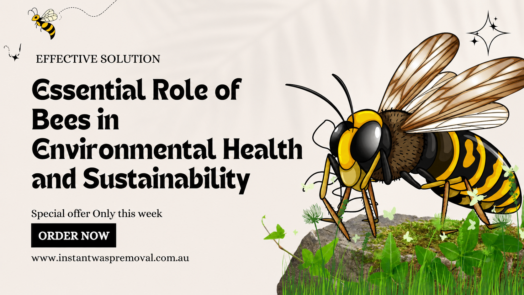 wasp control Melbourne