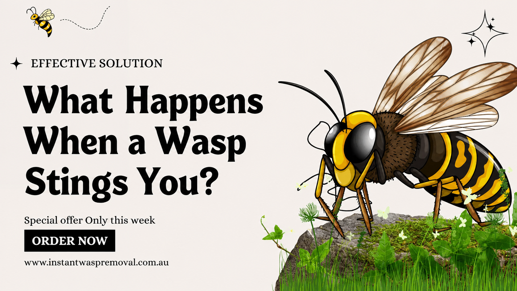 wasp control Melbourne